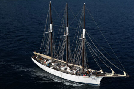 Pascual Flores Sailing Ship Windseeker