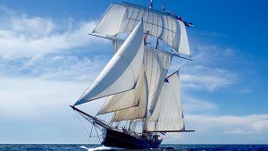 Vessel Wylde Swan