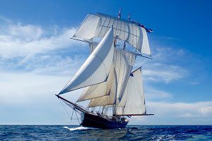 Vessel Wylde Swan